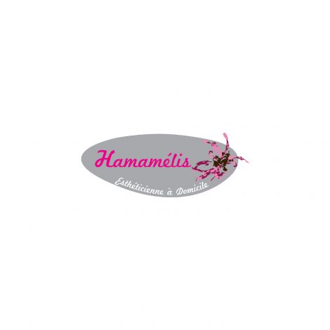 Hamamelis